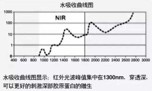 濾光片