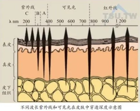 激光美容波長對皮膚損傷最小