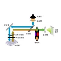 什么是熒光定量PCR、數(shù)字PCR？