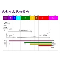 IPL技術(shù)原理特點(diǎn)及其應(yīng)用